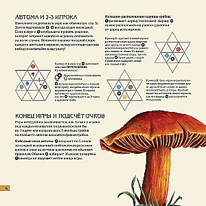 Stalo žaidimas - Micelijus